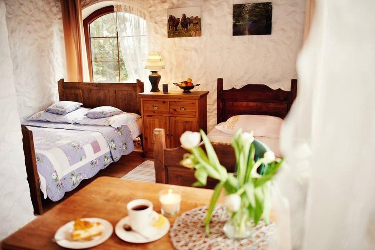 Ciche Wody Villa Budry Phòng bức ảnh